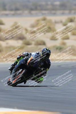 media/May-14-2023-SoCal Trackdays (Sun) [[024eb53b40]]/Turn 5 Tree of Life (1125am)/